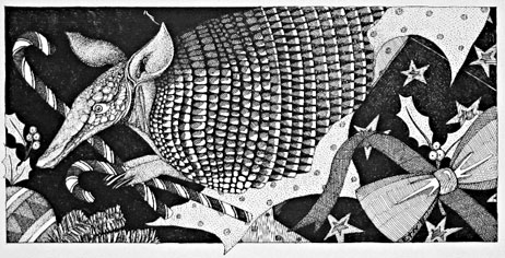 Armadillo Card 4013-85