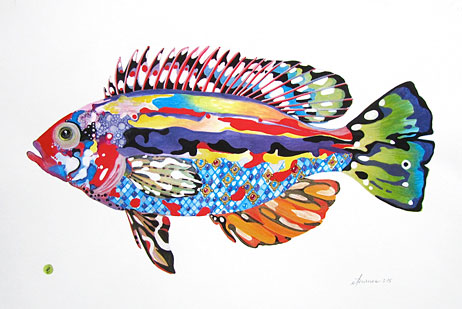 Cycadelic Cyclid 4014-15