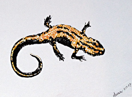 Yellow Lizard 6609-07